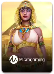 Microgaming
